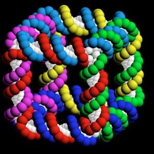 структура молекулы белка 8 характерных альфа-спиральных участков