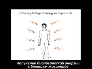poluchenie-biologicheskoy-energii-4-pole