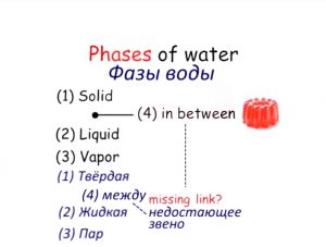 4-fazy-vody