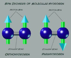 Паравода и ортовода спин протонов воды