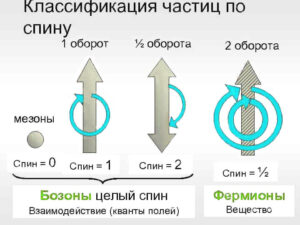 классификация частиц по спину