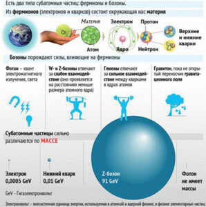 спин у бозонов и фермионов