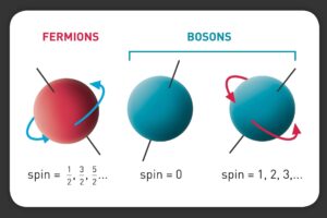 спин бозонов и фермионов