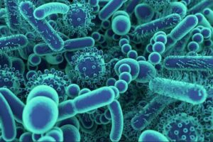 бактериальная микрофлора - как повысить уровень энергии