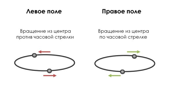 Торсионное поле человека фото