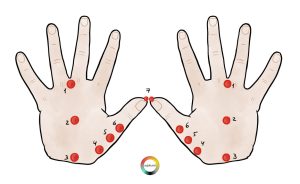 Точки на руке для прогревания по Су Джок терапии 2