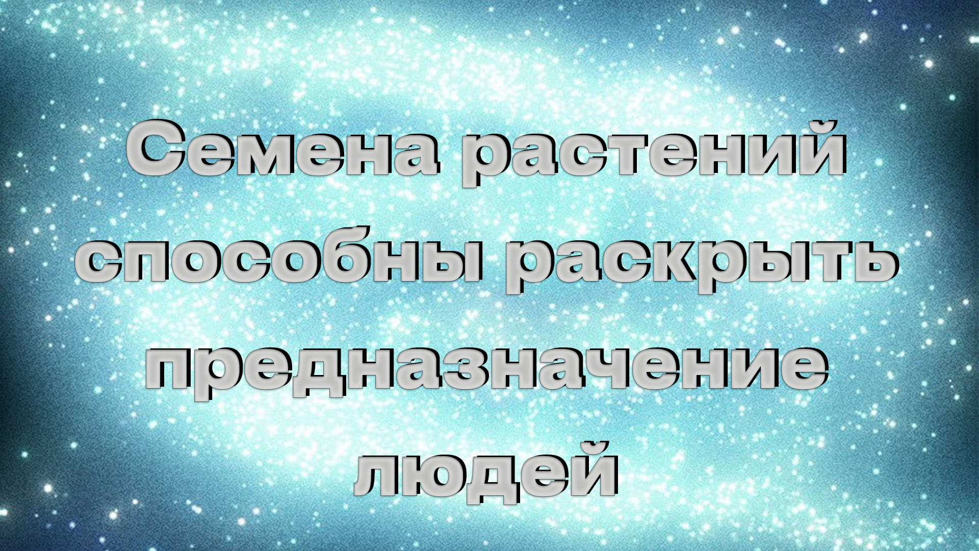 Семена растений способны раскрыть предназначение людей